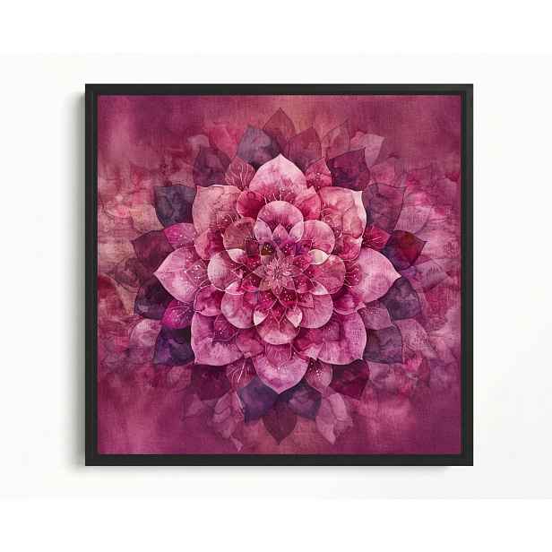 Obraz Rám American Box Růžová Mandala Lotosu Harmonie Vloček 60x60