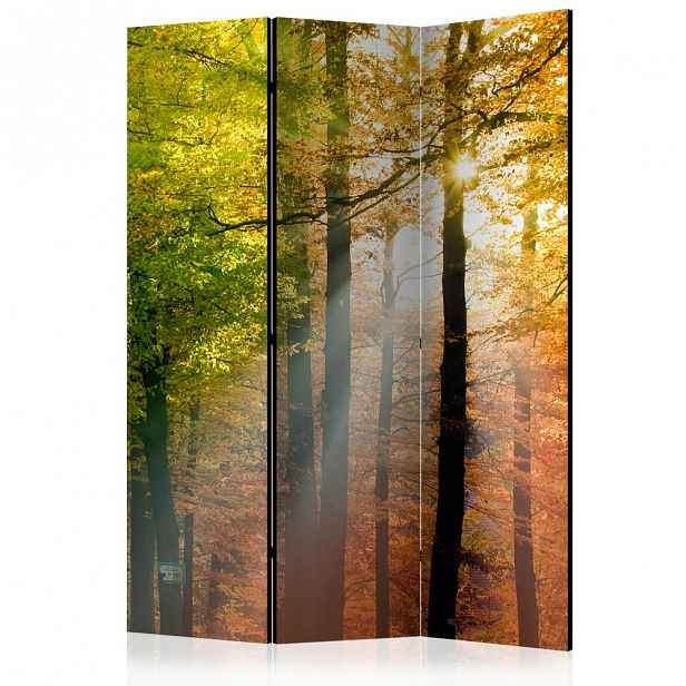 Paraván Forest Colours Dekorhome 135x172 cm (3-dílný)