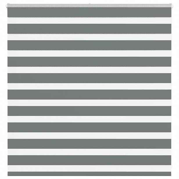 vidaXL Zebra roleta tmavě šedá 145x100cm šířka látky 140,9cm polyester