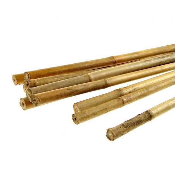 Bamboo Tyč malá průměr 1 - 1,5 cm, délka 100 cm