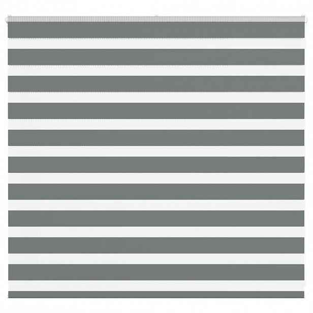 vidaXL Zebra roleta tmavě šedá 155x100cm šířka látky 150,9cm polyester