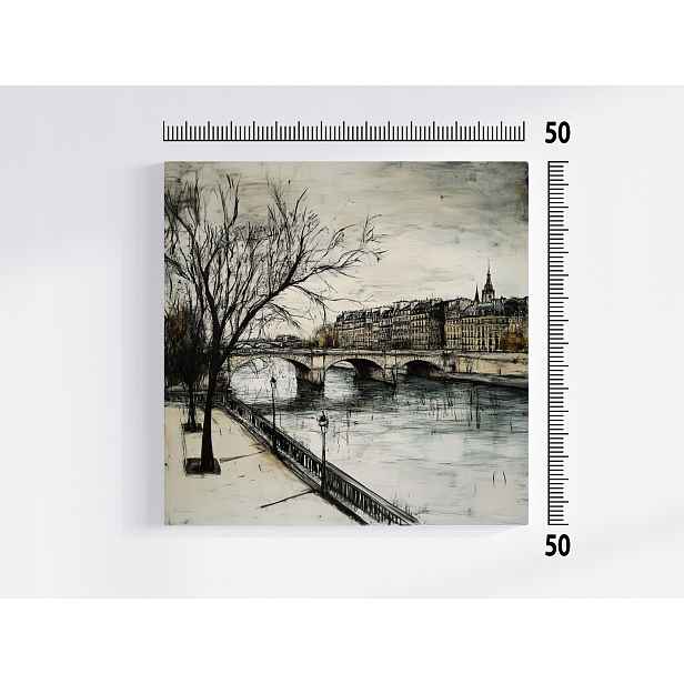 Obraz Na Plátně Plátno Město Paříž Řeka Mosty Architektura Výhled 50x50
