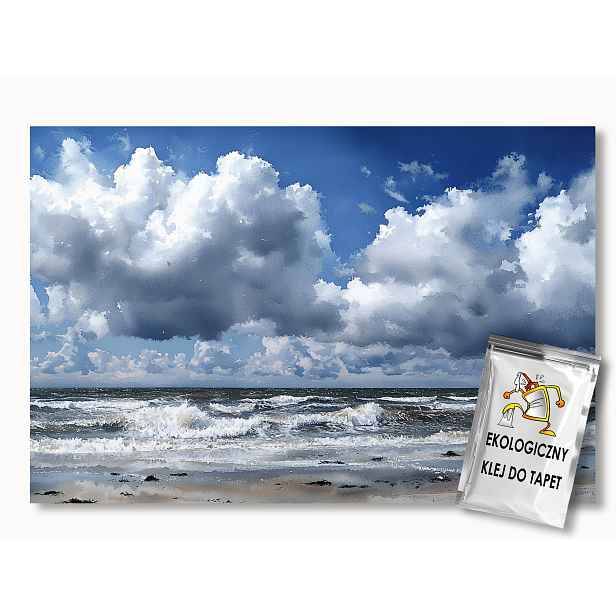 Fototapeta Flizelina Krajina Moře Vlny Pláž Nebe Mraky 416x254 130g