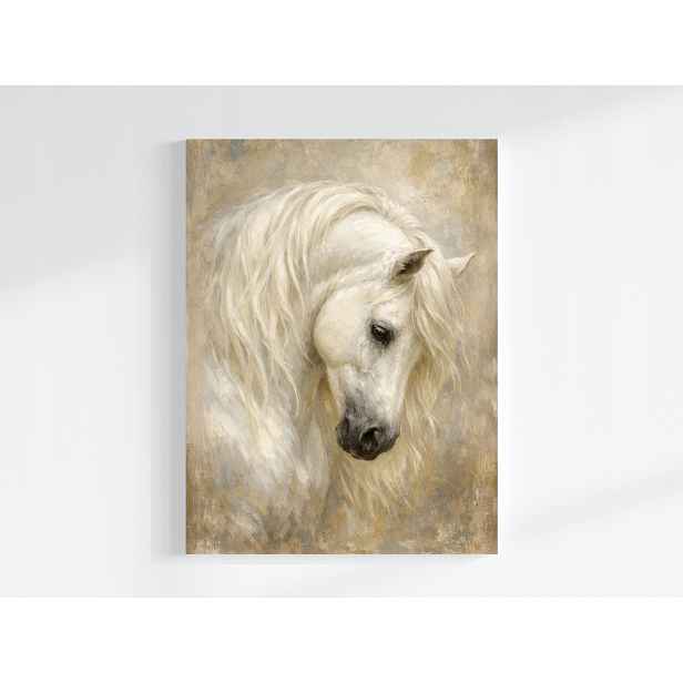 Obraz Na Plátně Canvas Fauna Příroda Zvíře Portrét Kůň Béžová Bílá 60x80