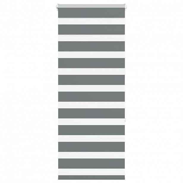 vidaXL Zebra roleta tmavě šedá 55x150 cm šířka látky 50,9 cm polyester