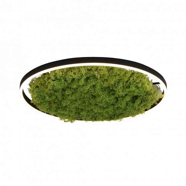 stropní svítidlo Led 28W Green Ritus 15392-66 LeuchtenDirekt