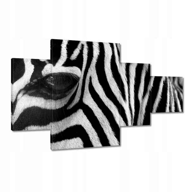 Obrazy 130x80 Černobílé pruhy Zebra
