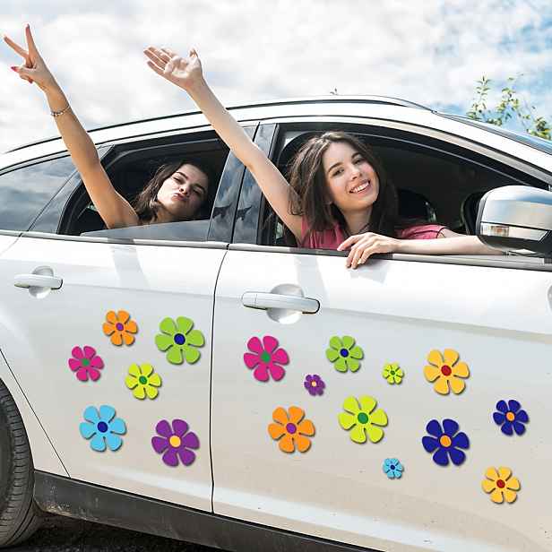 TEMU 16 ks 8 ks 4palcové 8 ks 2,2palcové magnetické samolepky slunečnice, outdoorové aktivity, roztomilé květiny na auto ledničku, odolný silný