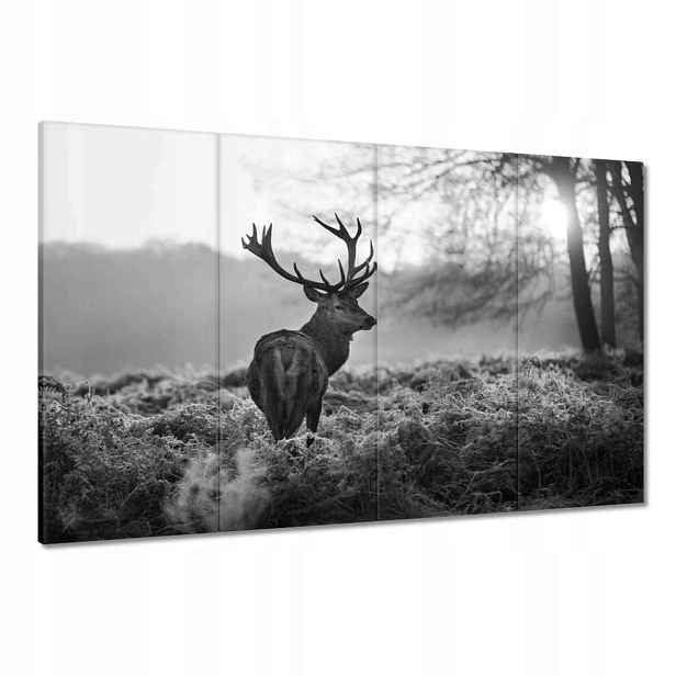 Obrazy 120x80 Černobílý jelen