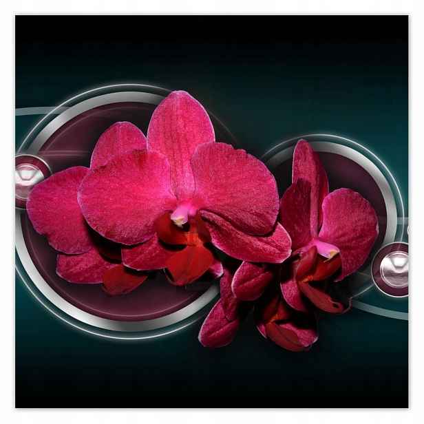 Plakáty 140x140 Fialový orchidej