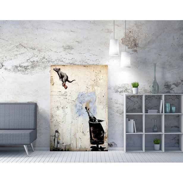 Dekorativní obraz na plátně WY117 (50 x 70)