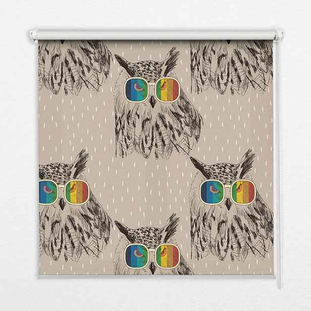 TULUP VNITŘNÍ roleta - okenní roleta - roleta - 70x140 cm - Sovy v barevných brýlích