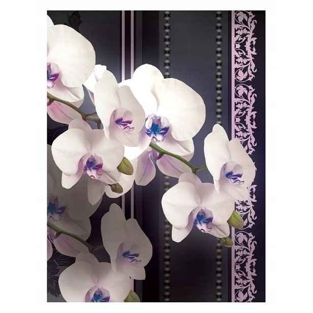 Vinylová fototapeta Bílé orchideje na tmavém pozadí 184x254 lepidlo