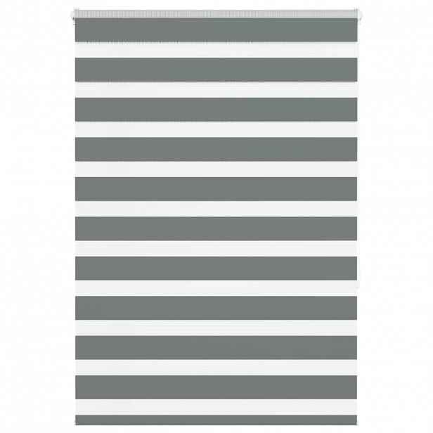 vidaXL Zebra roleta tmavě šedá 100x150cm šířka látky 95,9 cm polyester