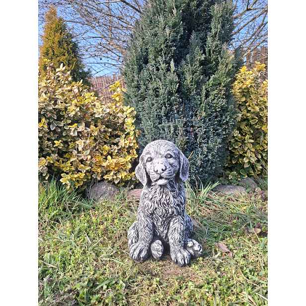 Betonová figurka Pes Pejsek ozdoby zahradní figurky z betonu