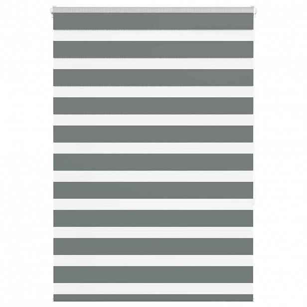 vidaXL Zebra roleta tmavě šedá 105x150cm šířka látky 100,9cm polyester