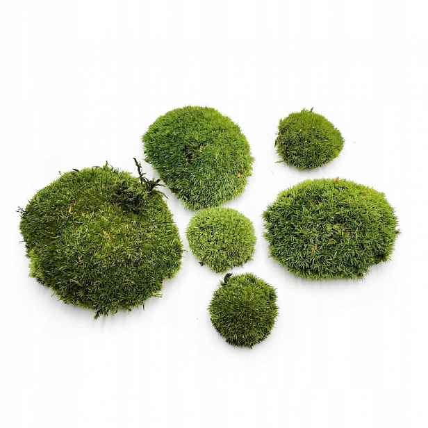 Ball Moss kopečkový mech tmavozelený 100g Fr