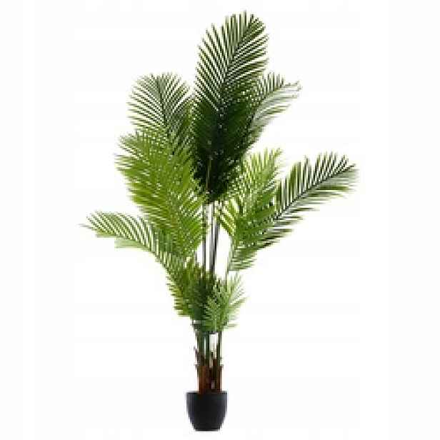 Umělá Palma S Květináčem Plast Výška 170 CM, Rozměr 114 X 105 CM