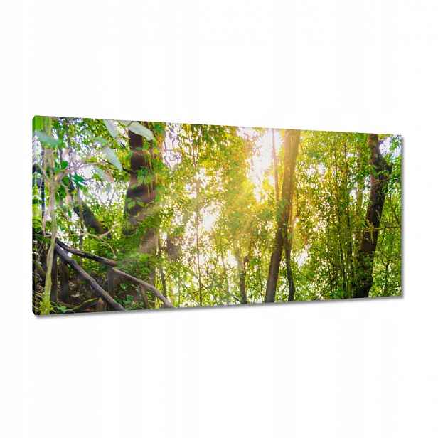 Obrazy 115x55 Pěší výlet