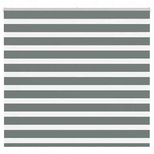 vidaXL Zebra roleta tmavě šedá 155x150cm šířka látky 150,9cm polyester