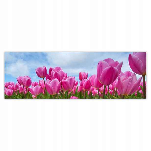 Fototapety 200x66 Tulipány na Valentýna
