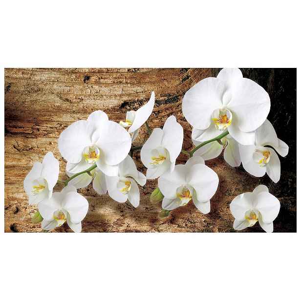 Fototapeta Orchidej Phalaenopsis bílé květy jemnost 200x140 lepidlo