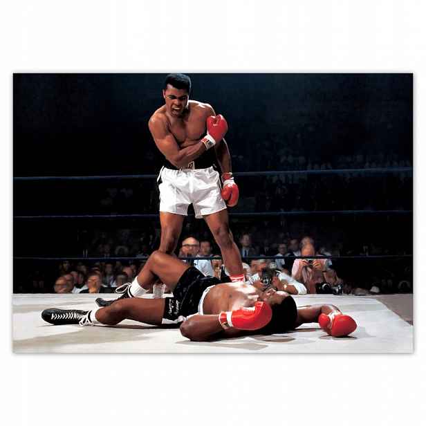 Fototapety flizelina 312x219 Muhammad Ali Boxer