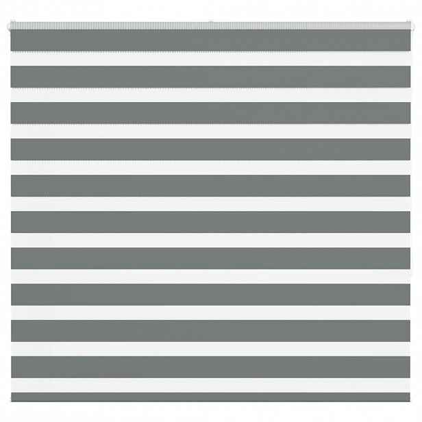 vidaXL Zebra roleta tmavě šedá 165x150cm šířka látky 160,9cm polyester