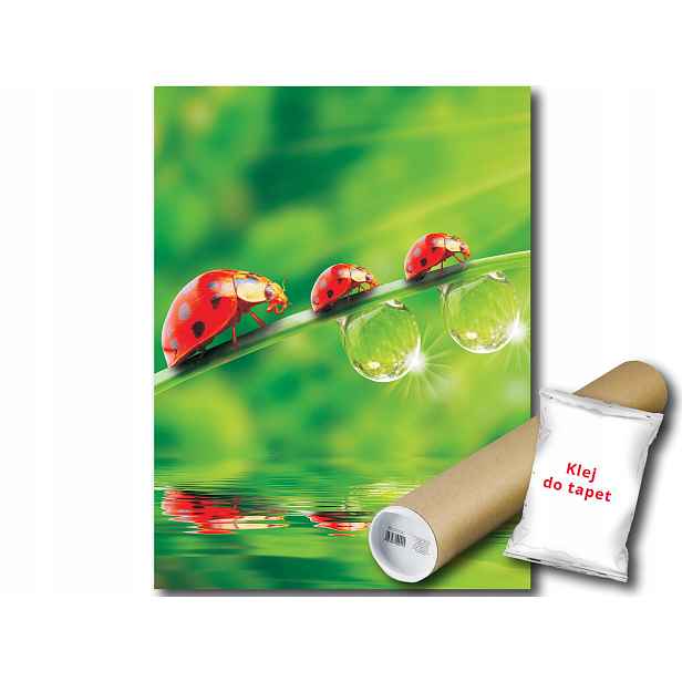 Fototapeta Beruška 12A Panxl 206x275 F121