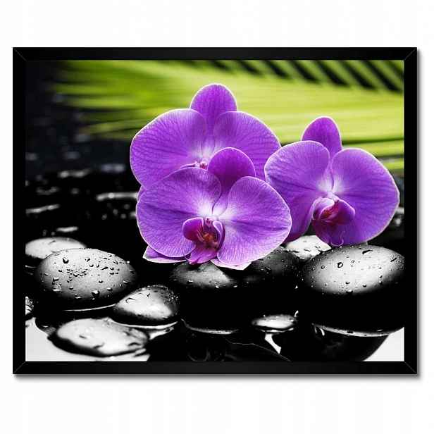 Plakáty v rámu 50x40 Fialové orchideje