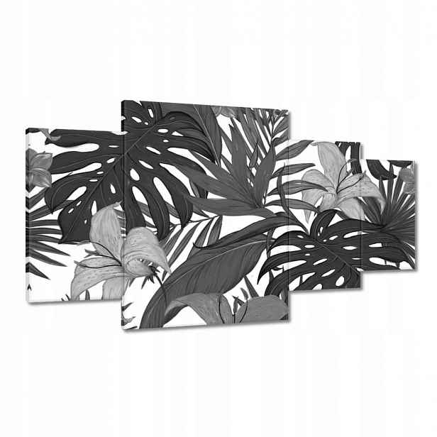 Obrazy 160x90 Černobílá monstera