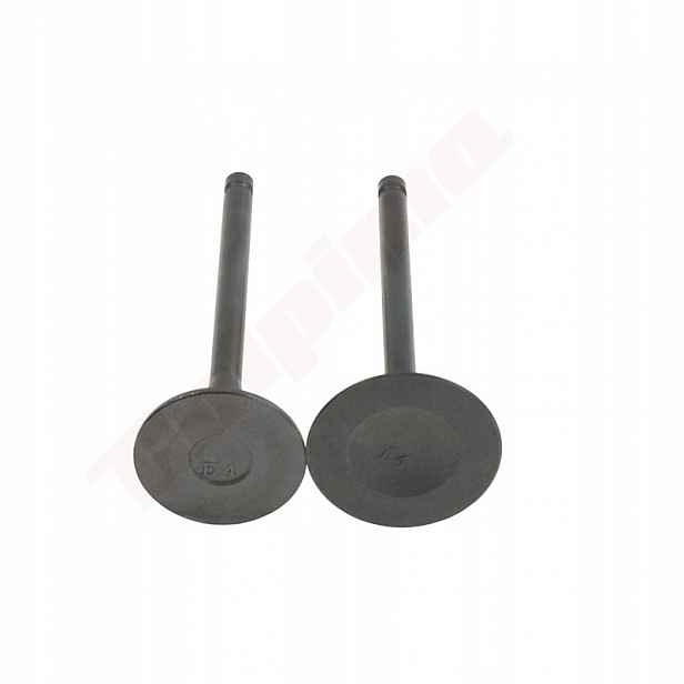 Ventil Robin EX40 (20B-33401-H3