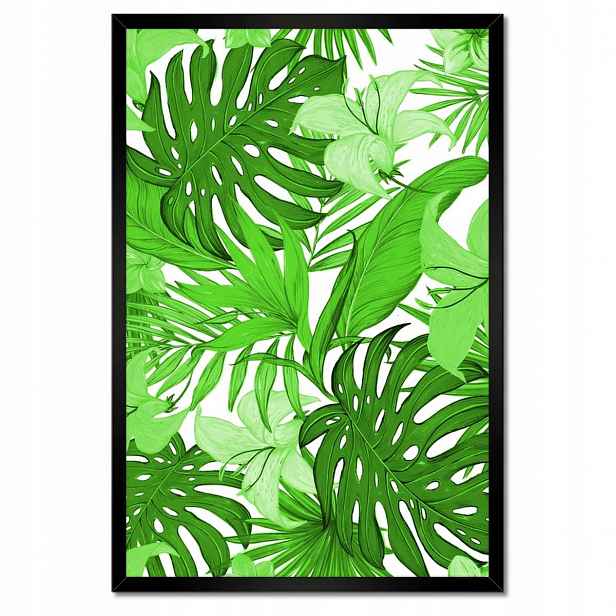 Plakáty v rámu 40x60 Leaves Monstera Nový vzhled