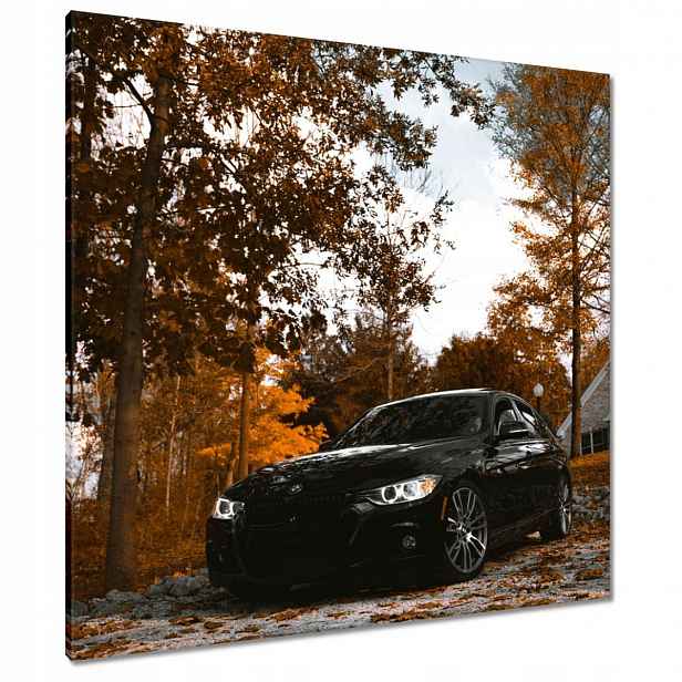 Černé obrazy 90x90 Bmw Podzim