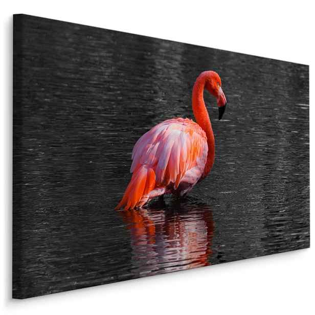 MyBestHome BOX Plátno Plameňák Ve Vodě Varianta: 40x30