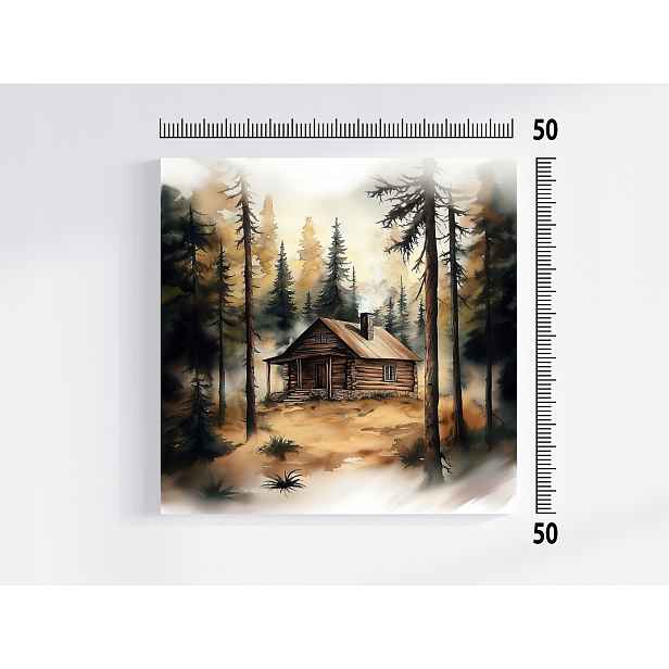 Obraz Na Plátně Canvas Krajina Les Domek Chatka Ustronie Klid 50x50