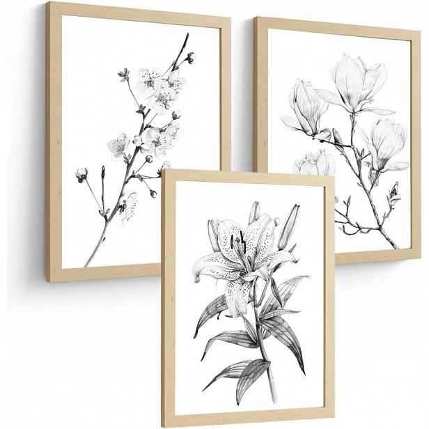 PLAKAT Sada 3 obrázků květin. Dekorativní nástěnné tisky Květiny tužkou. botanický plakát na zeď.Rám z lehkého dřeva velikosti A4