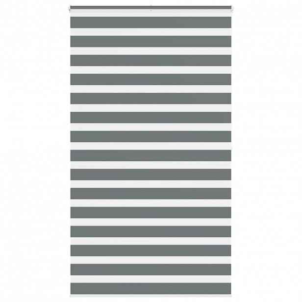 vidaXL Zebra roleta tmavě šedá 125x200cm šířka látky 120,9cm polyester