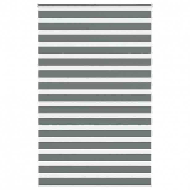 vidaXL Zebra roleta tmavě šedá 140x200cm šířka látky 135,9cm polyester