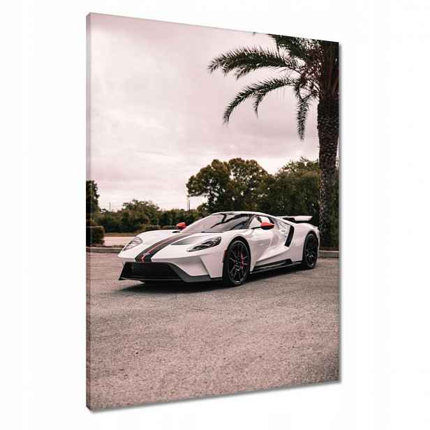 Obrazy 60x80 Ford auto
