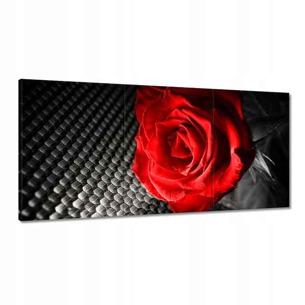 Obrazy 120x60 Červená mezi šedou