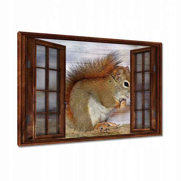 Obrazy 120x80 Veverka