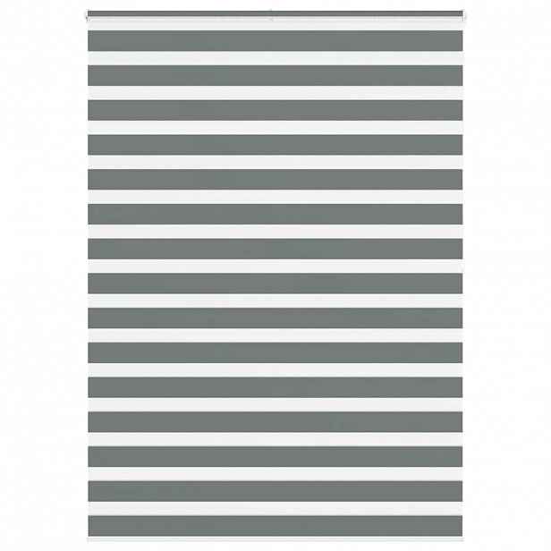 vidaXL Zebra roleta tmavě šedá 160x200cm šířka látky 155,9cm polyester