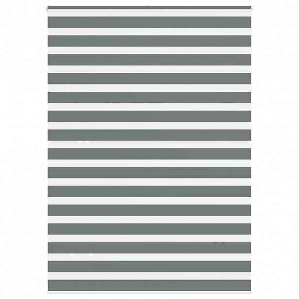vidaXL Zebra roleta tmavě šedá 165x200cm šířka látky 160,9cm polyester