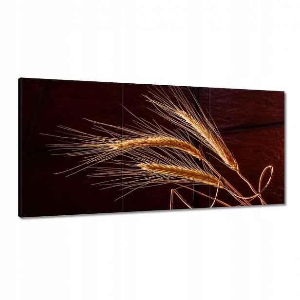 Obrazy 120x60 Plné klasy