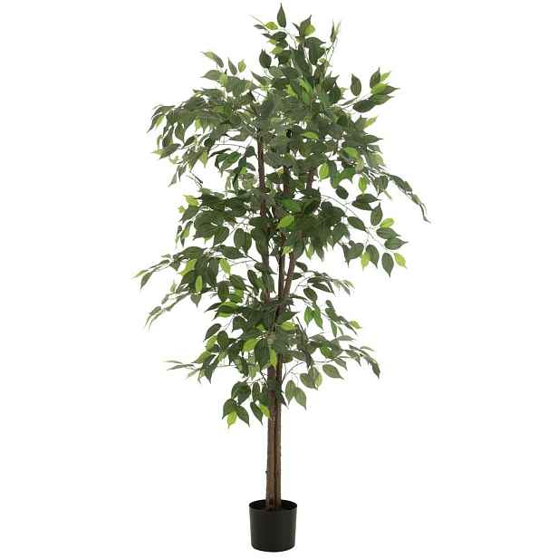 Dekorace umělá rostlina fíkus v květináči Ficus Tree - Ø 80*180 cm J-Line by Jolipa