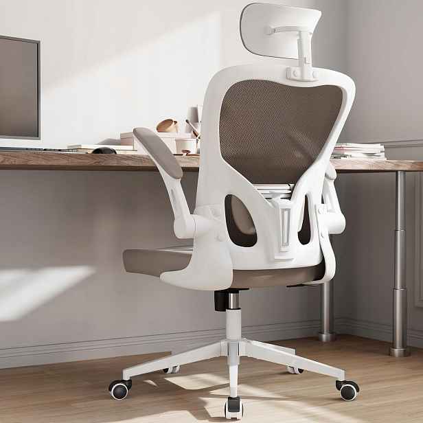 Ergonomická Židle S Bederní Opěrkou A Nastavitelnou Opěrkou Hlavy