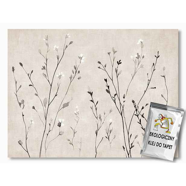 Fototapeta Flizelina Příroda Rostliny Květiny Listy Bylinky Boho 312x219 130g