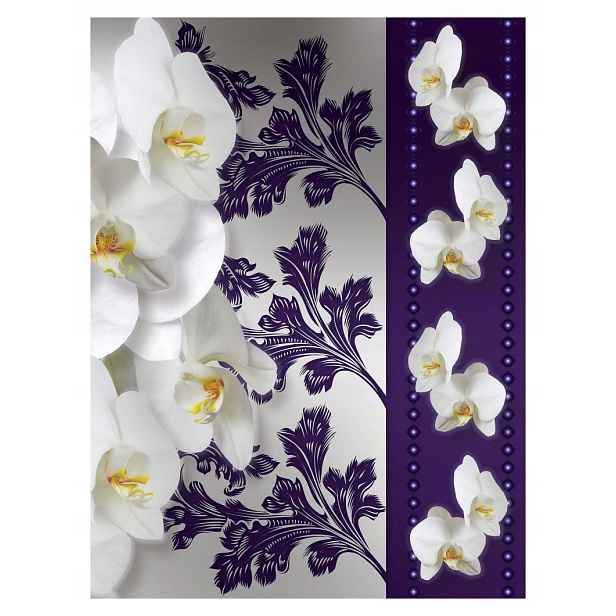 Fototapeta Orchideje bílé fialové Vinylový vzor 184x254 lepidlo