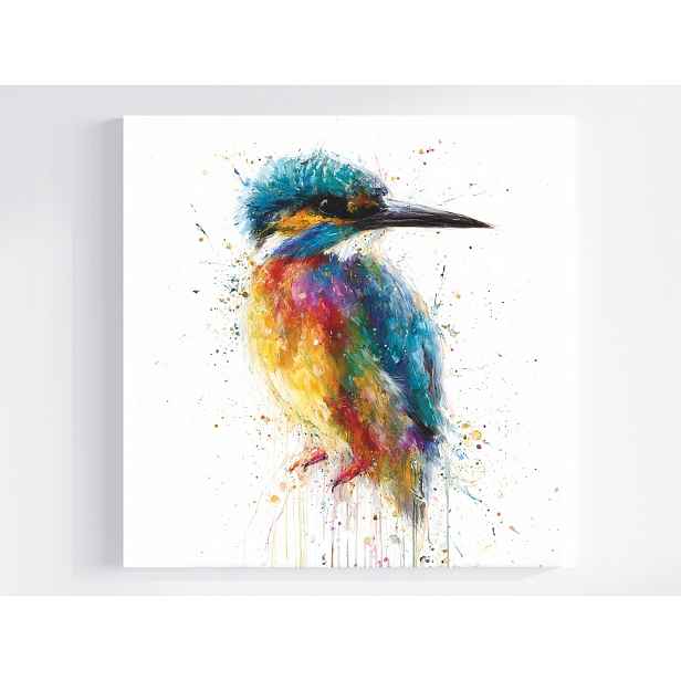 Obraz Na Plátně Canvas Příroda Barevný Pták Zimorodek 50x50